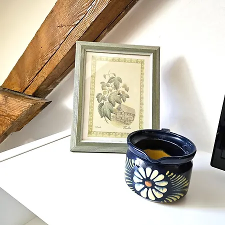 Thannt3-centre Ville-garage Prive דירה קולמר