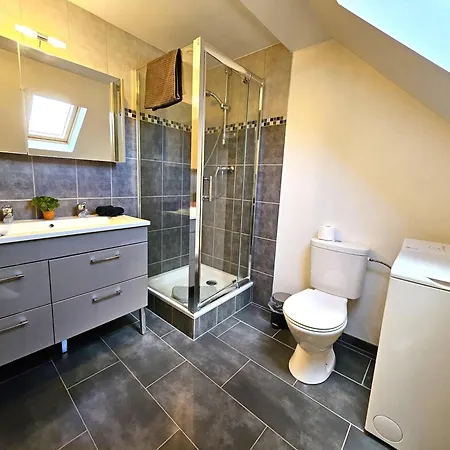 Thannt3-centre Ville-garage Prive- Centre