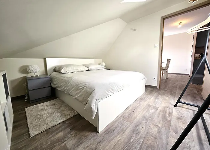 Thannt3-centre Ville-garage Prive- Centre Apartamento Colmar